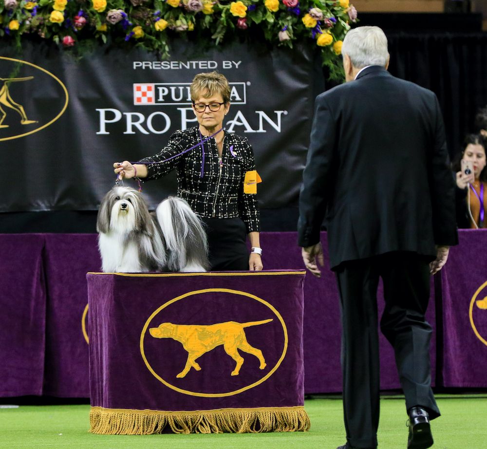 Question of the Week